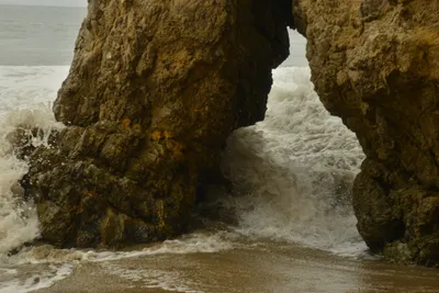 DSC_6552 (Large).JPG